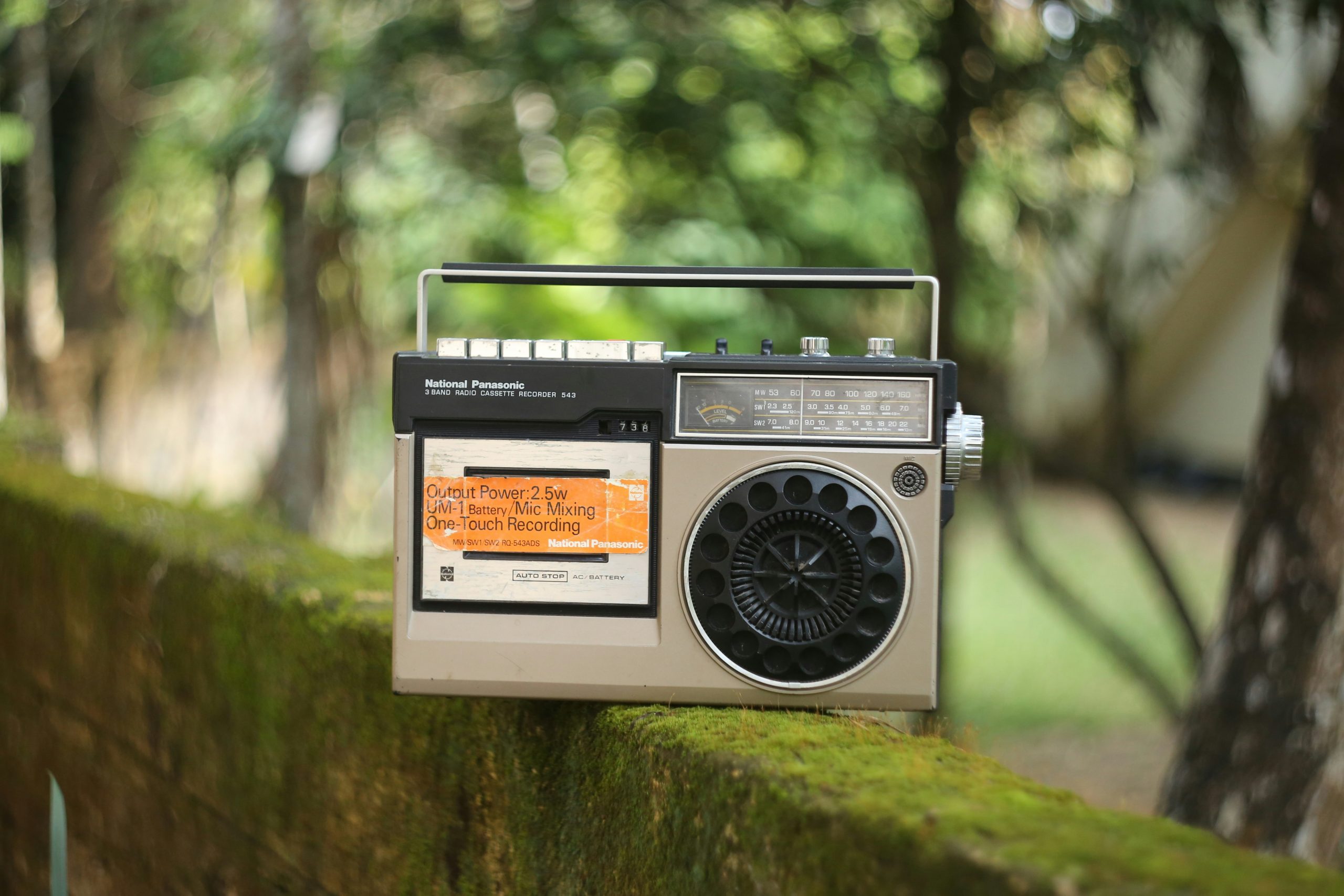 Affordable Radio Advertising for the local audiences by Risk to Rush.